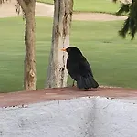 דירה Am Mijas Golf Views *